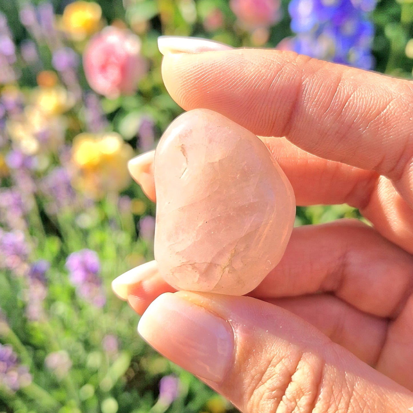 Rose Quartz - Polished